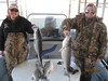 (03/07/2015) - Nice Striped Bass